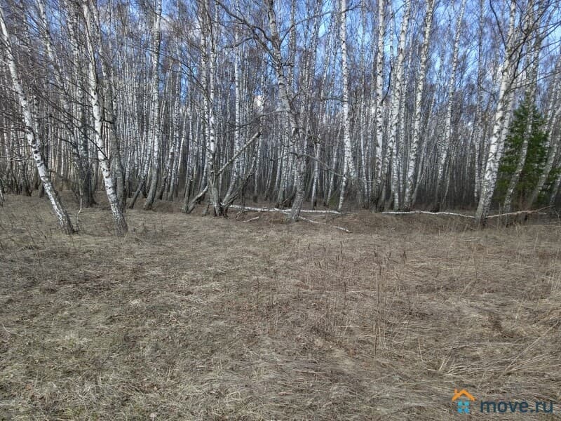 земля с/х назначения, 95 га