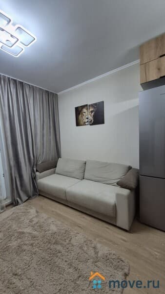 студия, 30.3 м&sup2;