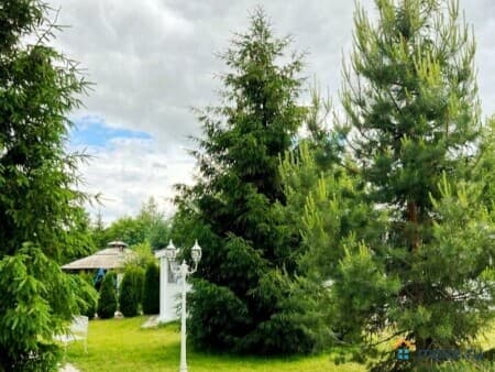 Продается готовый бизнес, 700 м&sup2;, Муром, Лесная улица, 28, деревня Губино, Селивановский му