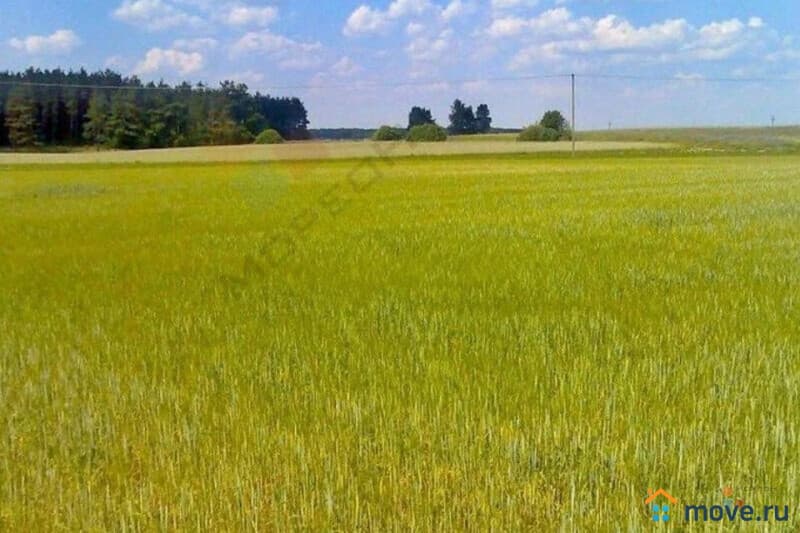 земля с/х назначения, 36 га