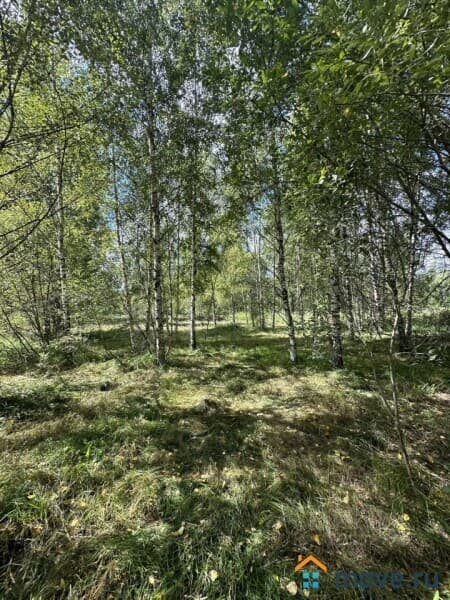 земельный участок, 9.51 сотки