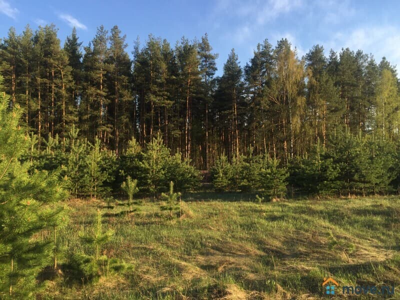 земля под ИЖС, 20.22 га