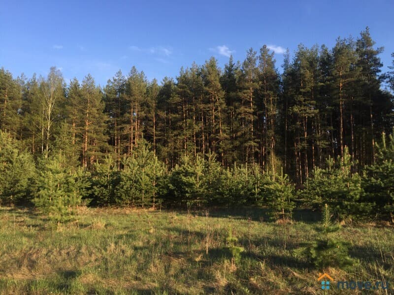 земля под ИЖС, 20.22 га