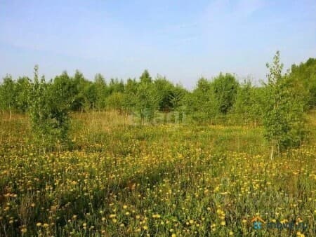 Продажа земли с/х назначения, 11 га, Барлакский