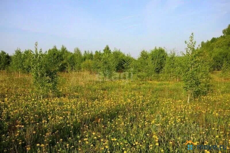 земля с/х назначения, 11 га