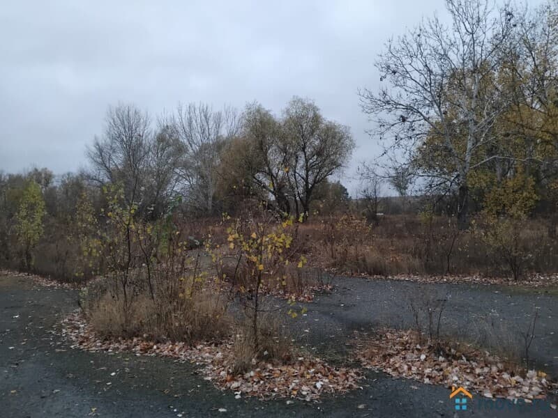 земля под ИЖС, 43.6 сотки