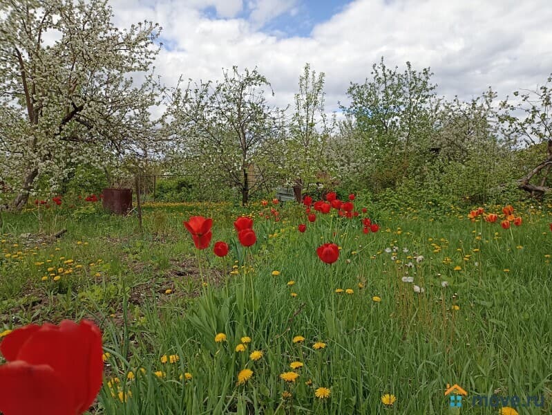 земля с/х назначения, 8 соток