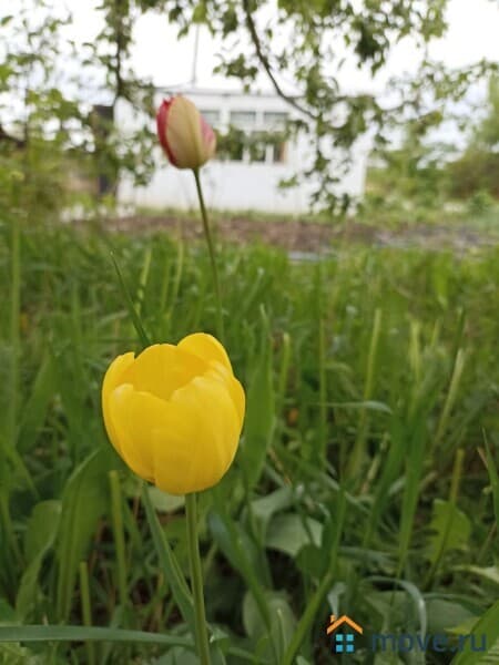 земля с/х назначения, 8 соток