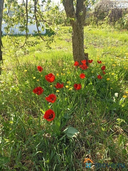 земля с/х назначения, 8 соток
