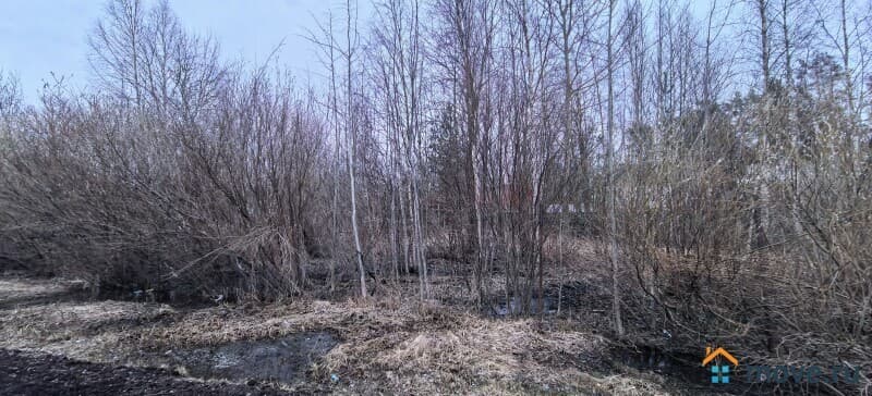 земельный участок, 24 га