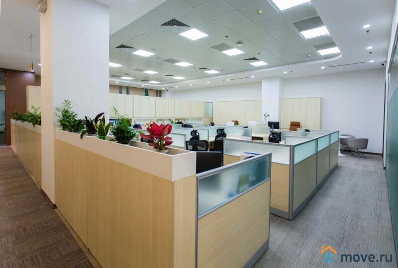 офис, 16 м&sup2;