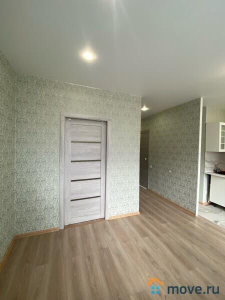 студия, 31.1 м&sup2;