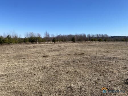 Продажа земли с/х назначения, 4.51 га, Следово