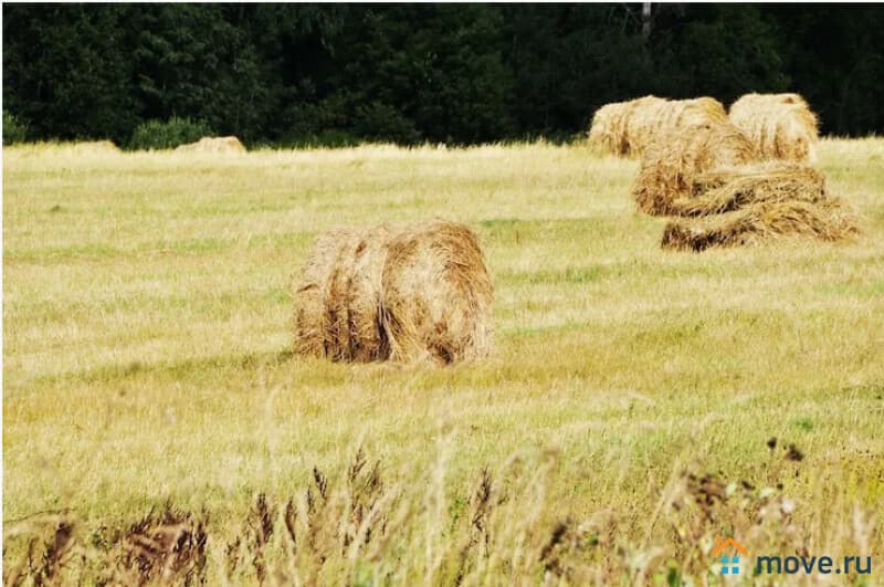 земельный участок, 3.72 га