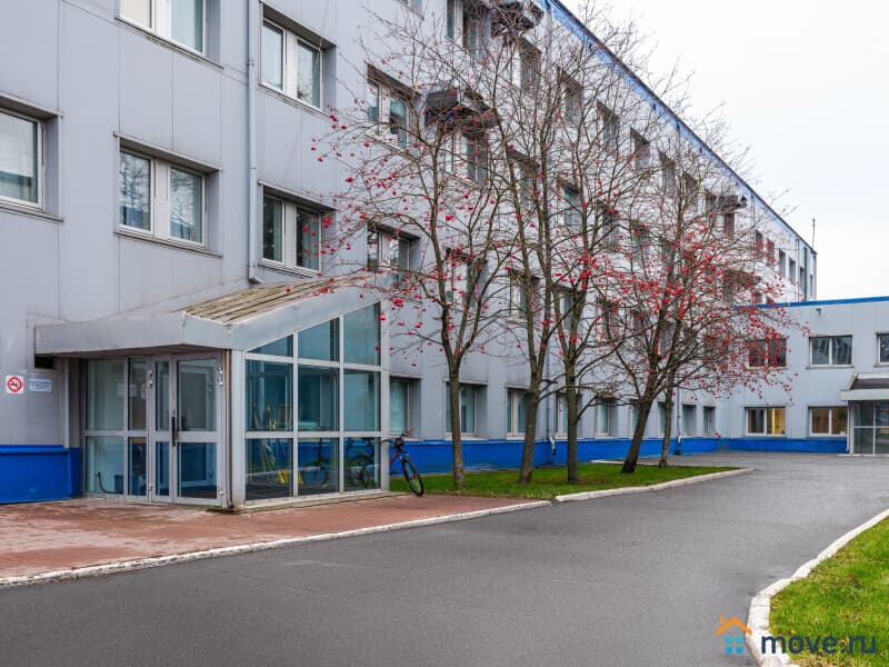 офис, 50 м&sup2;