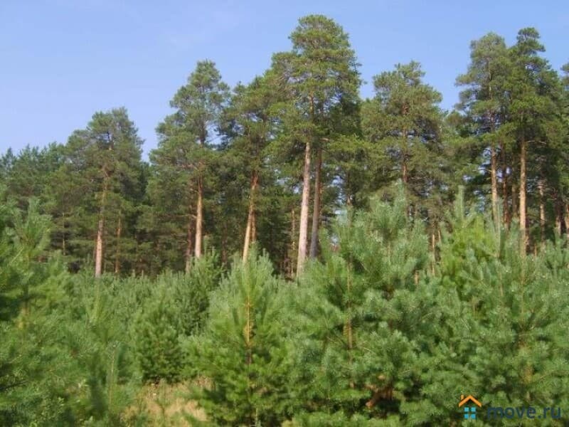 земля с/х назначения, 19.7 га