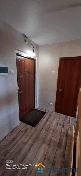 студия, 24.5 м&sup2;