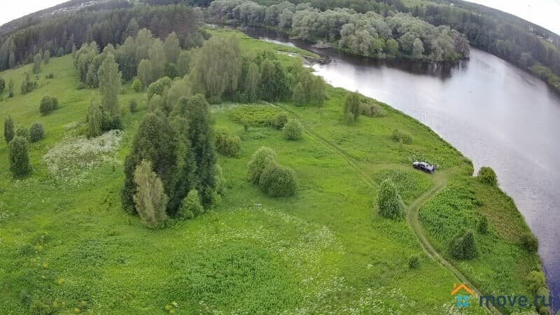 земля с/х назначения, 49.77 сотки