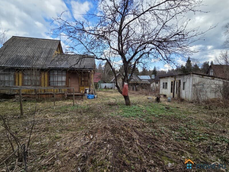дача, 50 м&sup2;