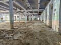 производственное, 22000 м²