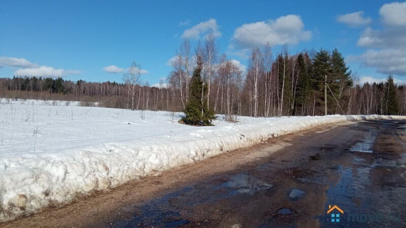 земля с/х назначения, 3 га