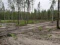 земельный участок, 8 соток