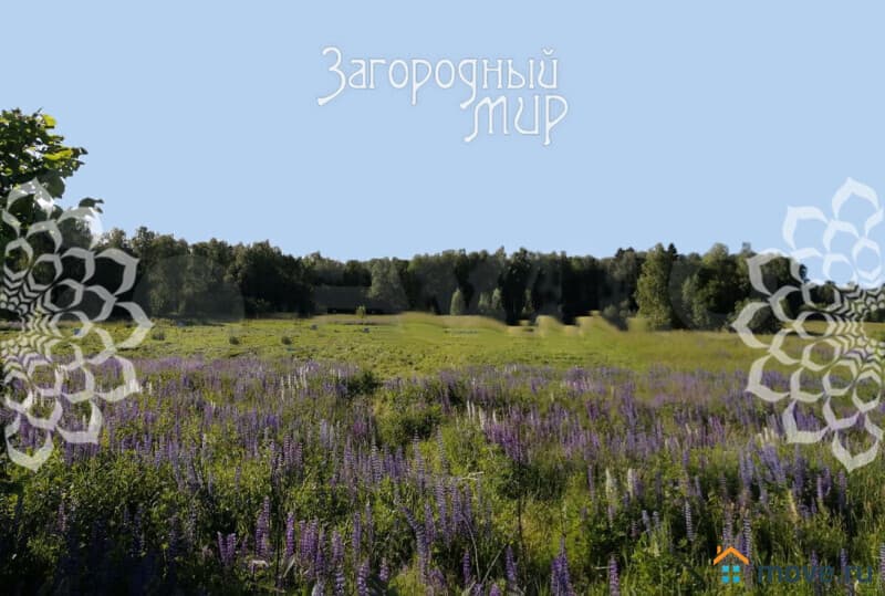 земля с/х назначения, 2 га