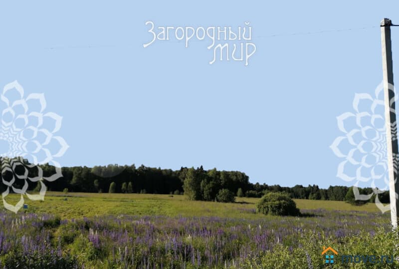 земля с/х назначения, 2 га