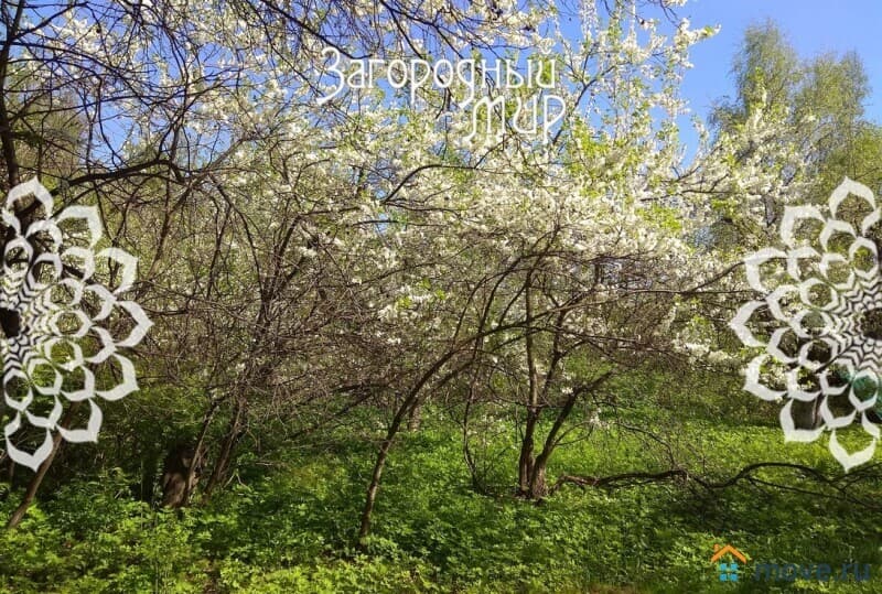 земля под ИЖС, 15 соток