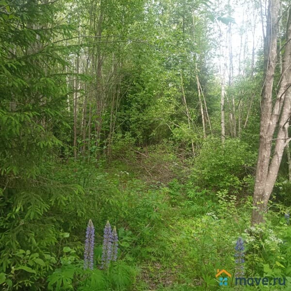 земельный участок, 10 соток