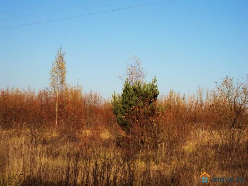 земля с/х назначения, 217 га