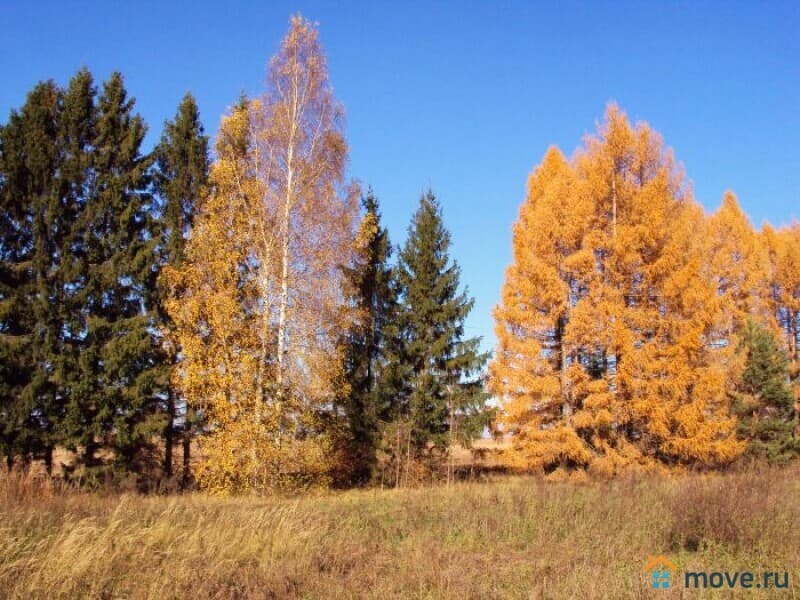 земля с/х назначения, 217 га