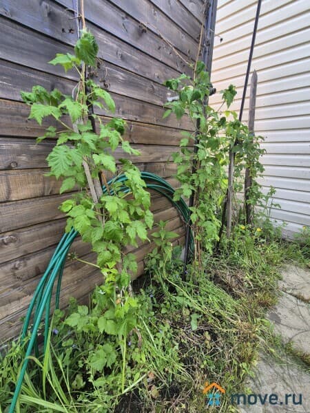 дача, 35 м&sup2;