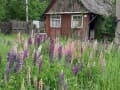 земельный участок, 6 соток
