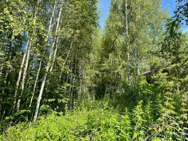 земля под ИЖС, 7.5 сотки